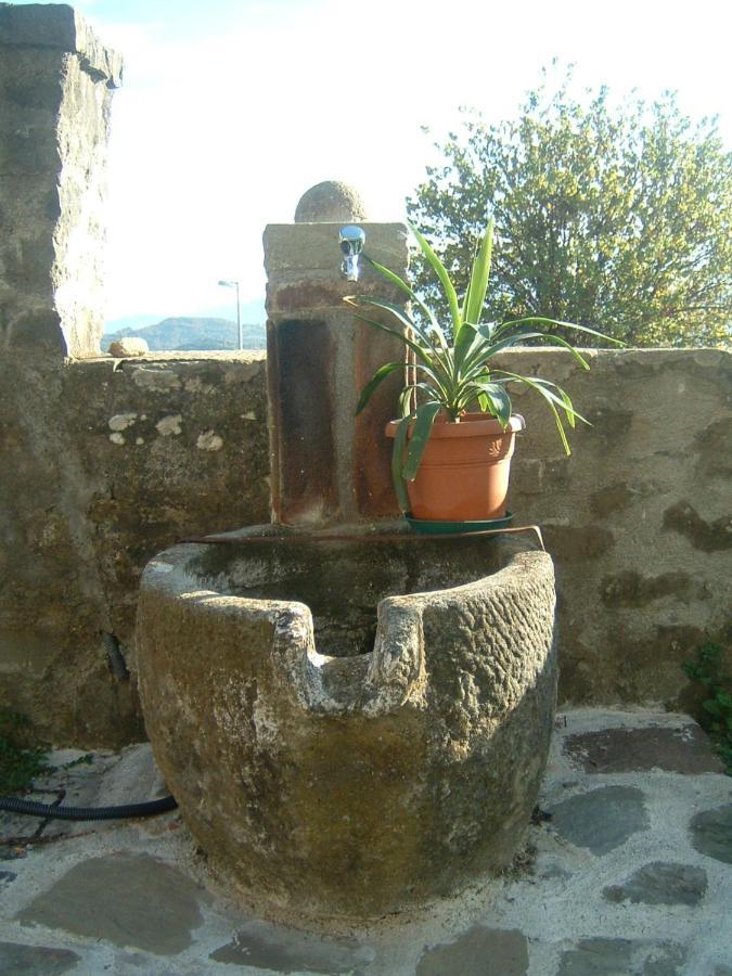 Il Casale Di Rolando Leilighet Castiglione di Garfagnana Eksteriør bilde