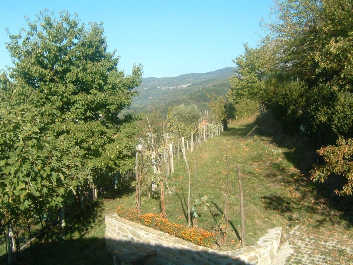 Il Casale Di Rolando Leilighet Castiglione di Garfagnana Eksteriør bilde