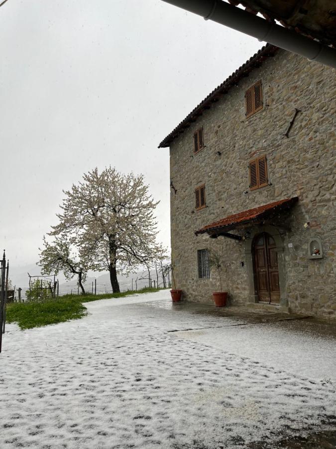 Il Casale Di Rolando Leilighet Castiglione di Garfagnana Eksteriør bilde